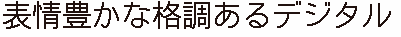 ビットマップフォント 30×30 ゴシック体