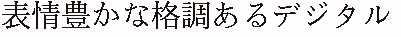 ビットマップフォント 30×30 明朝体