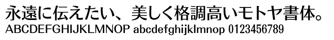 モトヤアポロファミリー