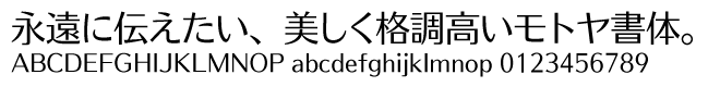 UDモトヤアポロファミリー